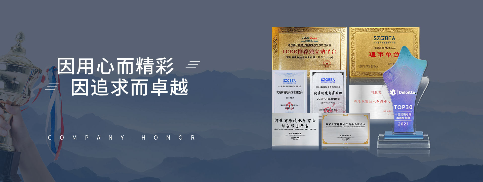 2Cshop跨境獨立站